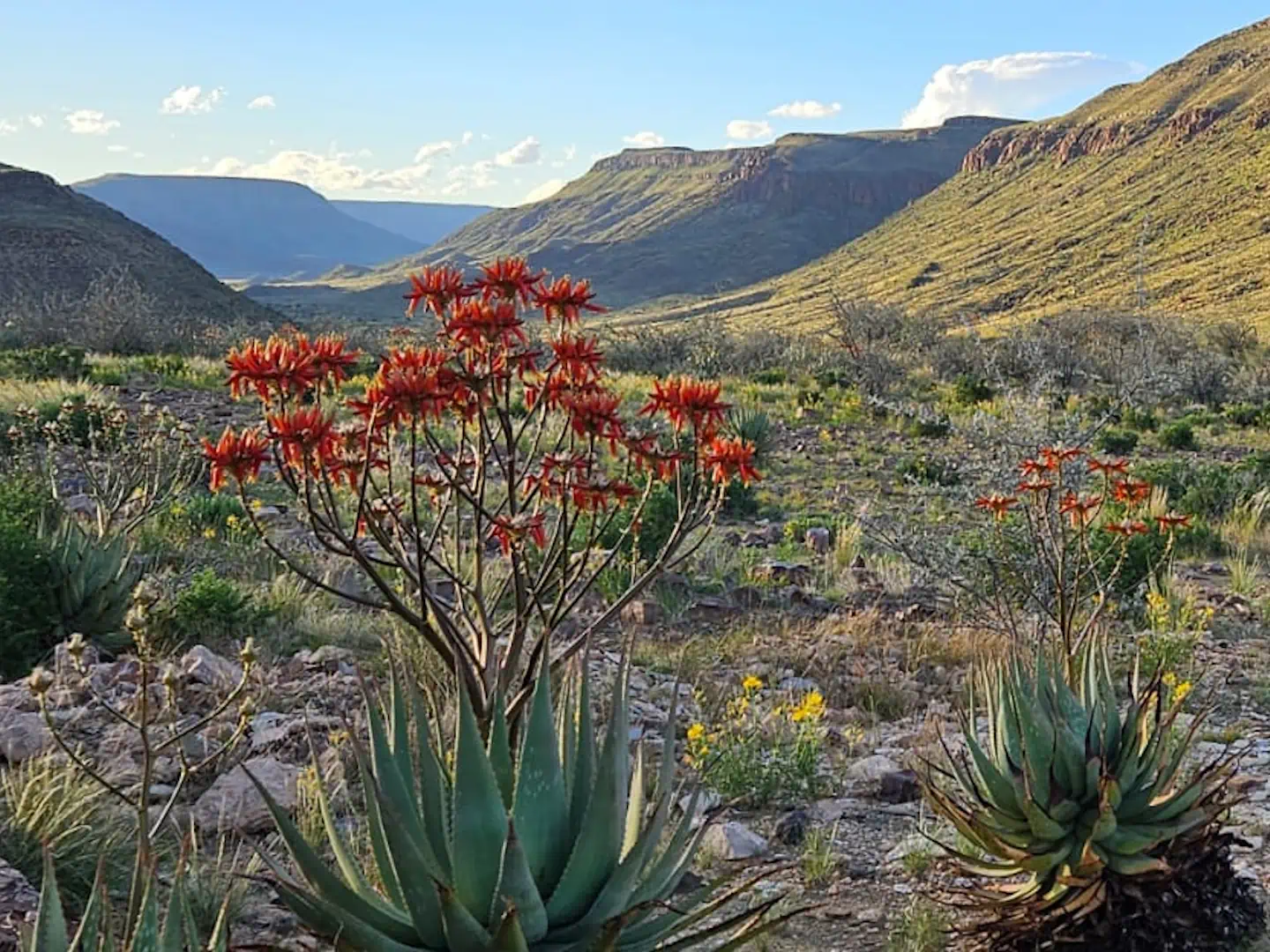 Ondili_Wildland-Nature-Reserve_08_low